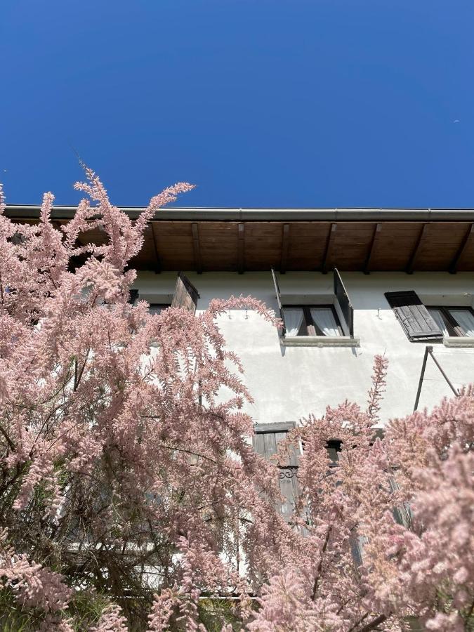 Terrazza Sul Lago Ameno Luaran gambar
