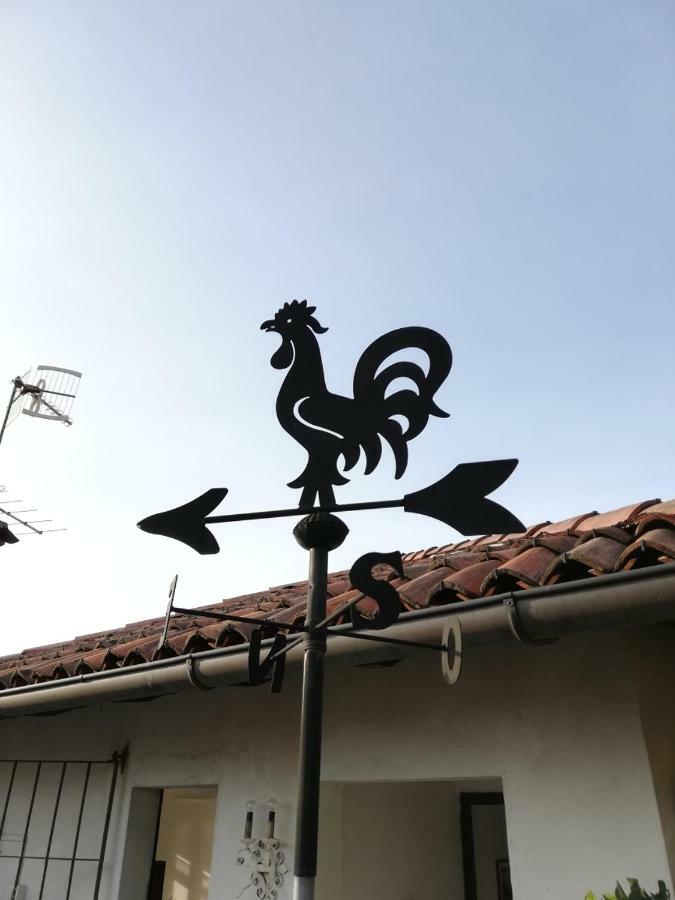 Terrazza Sul Lago Ameno Luaran gambar